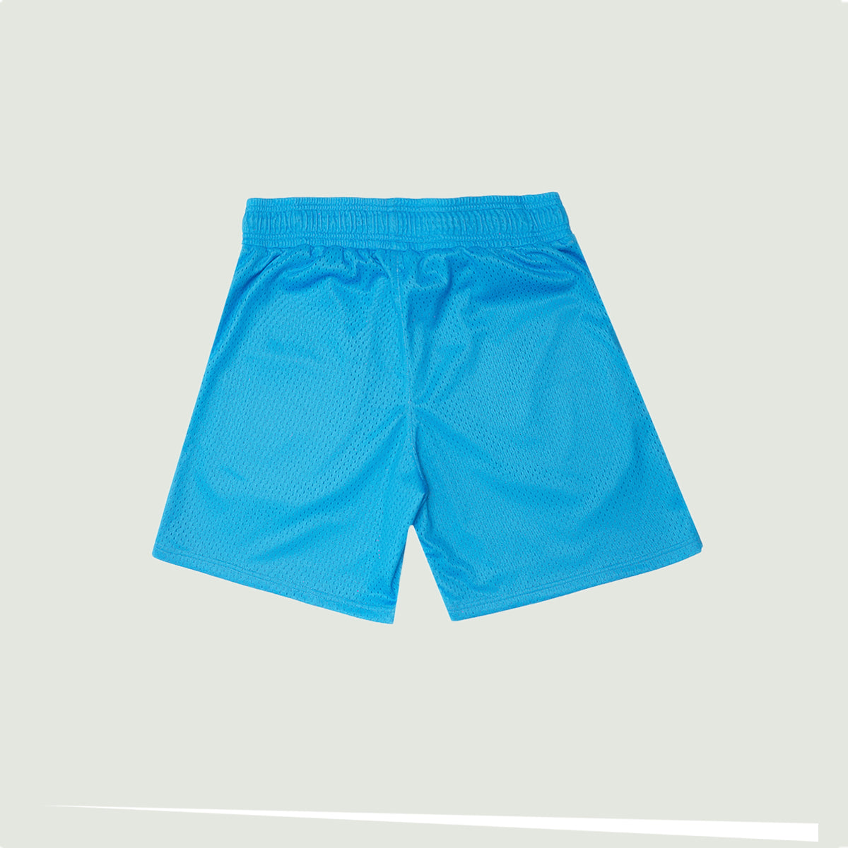 BLUE SN MESH SHORT